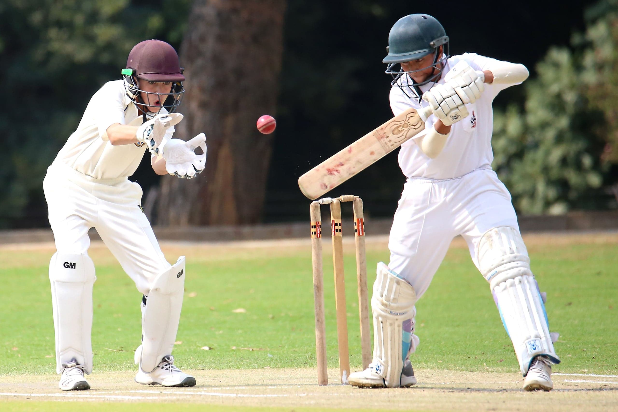 Le terrain de cricket