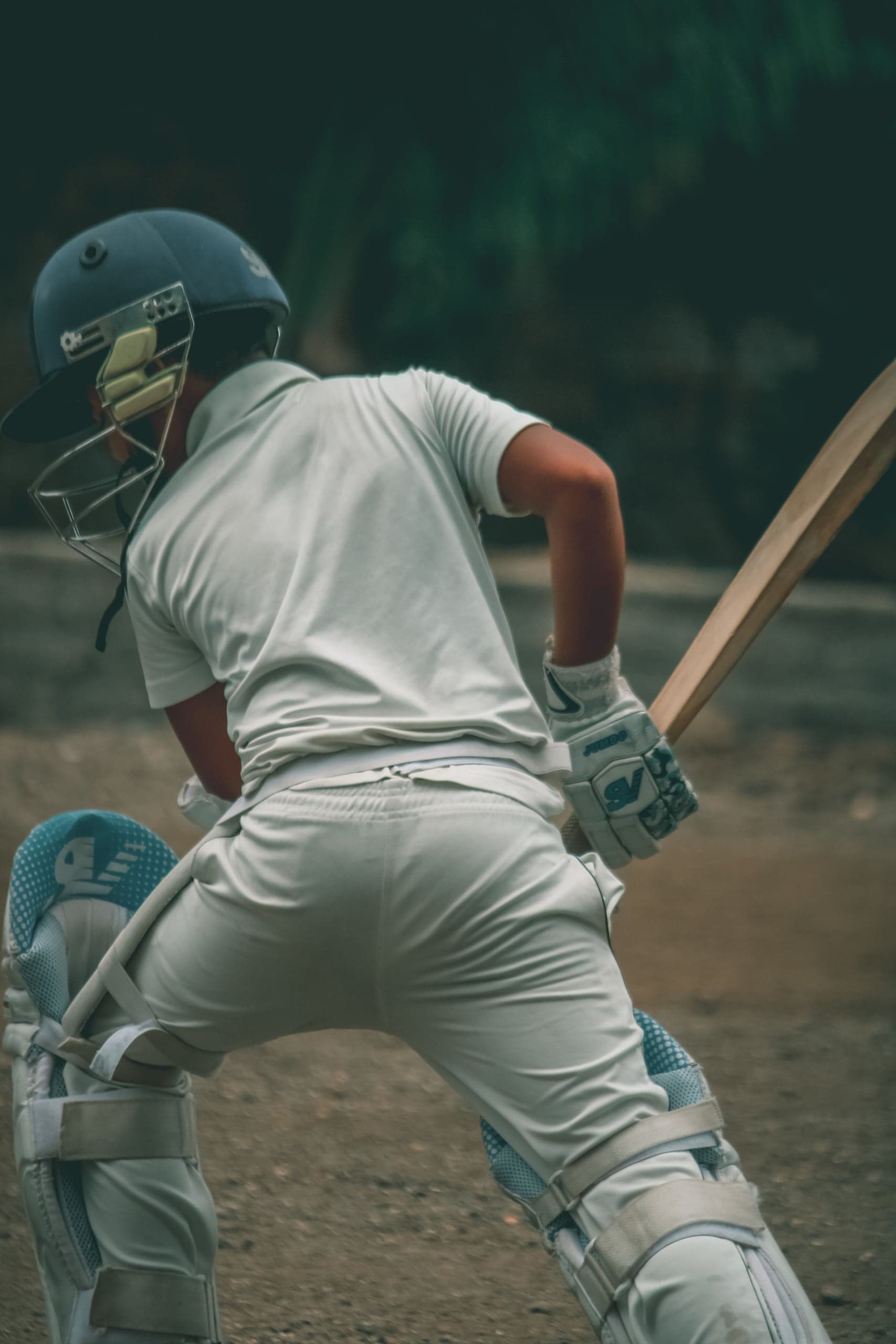 Terrain de cricket
